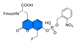 Chemosensors 11 00155 i014 Chemosensors 11 00155 i014