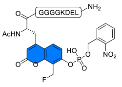 Chemosensors 11 00155 i016 Chemosensors 11 00155 i016