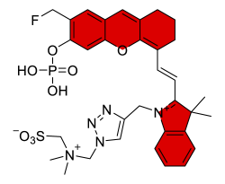 Chemosensors 11 00155 i018 Chemosensors 11 00155 i018