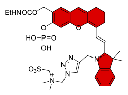 Chemosensors 11 00155 i019 Chemosensors 11 00155 i019