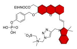 Chemosensors 11 00155 i020 Chemosensors 11 00155 i020