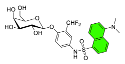 Chemosensors 11 00155 i022 Chemosensors 11 00155 i022