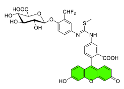 Chemosensors 11 00155 i024 Chemosensors 11 00155 i024