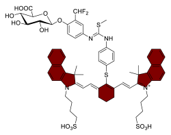 Chemosensors 11 00155 i025 Chemosensors 11 00155 i025