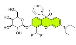 Chemosensors 11 00155 i032 Chemosensors 11 00155 i032