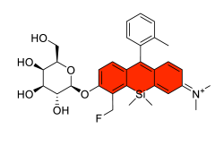 Chemosensors 11 00155 i033 Chemosensors 11 00155 i033