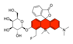 Chemosensors 11 00155 i034 Chemosensors 11 00155 i034