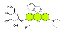 Chemosensors 11 00155 i035 Chemosensors 11 00155 i035