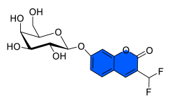 Chemosensors 11 00155 i036 Chemosensors 11 00155 i036