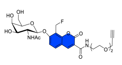 Chemosensors 11 00155 i041 Chemosensors 11 00155 i041