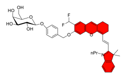 Chemosensors 11 00155 i045 Chemosensors 11 00155 i045