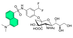 Chemosensors 11 00155 i046 Chemosensors 11 00155 i046