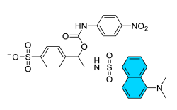 Chemosensors 11 00155 i057 Chemosensors 11 00155 i057