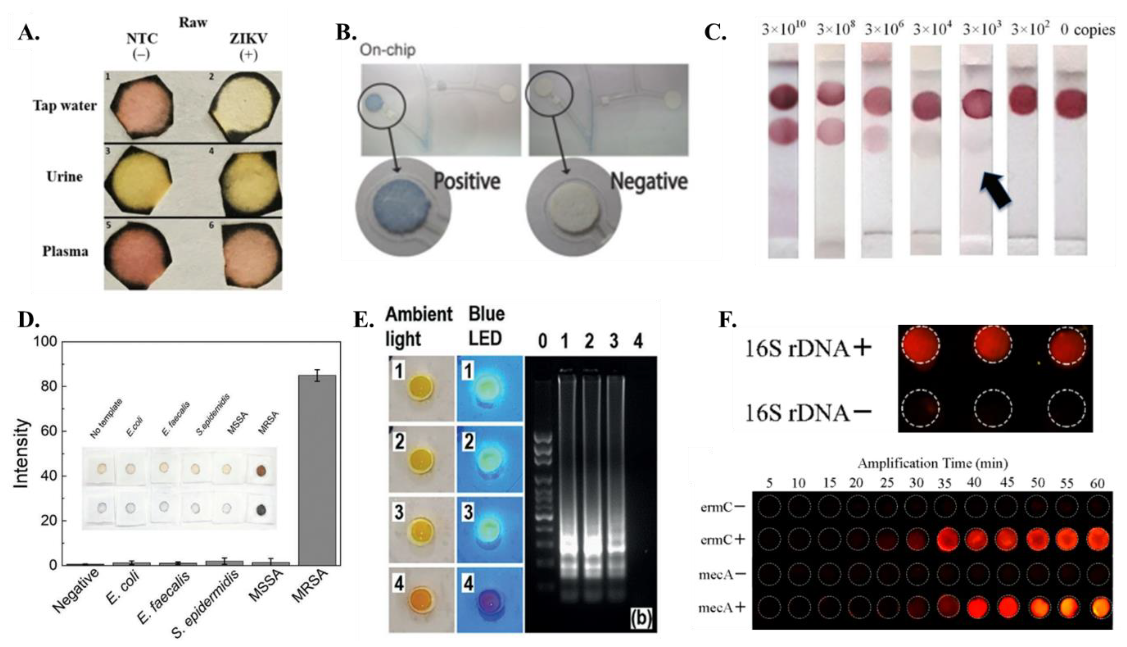 Chemosensors 11 00163 g005 Chemosensors 11 00163 g005