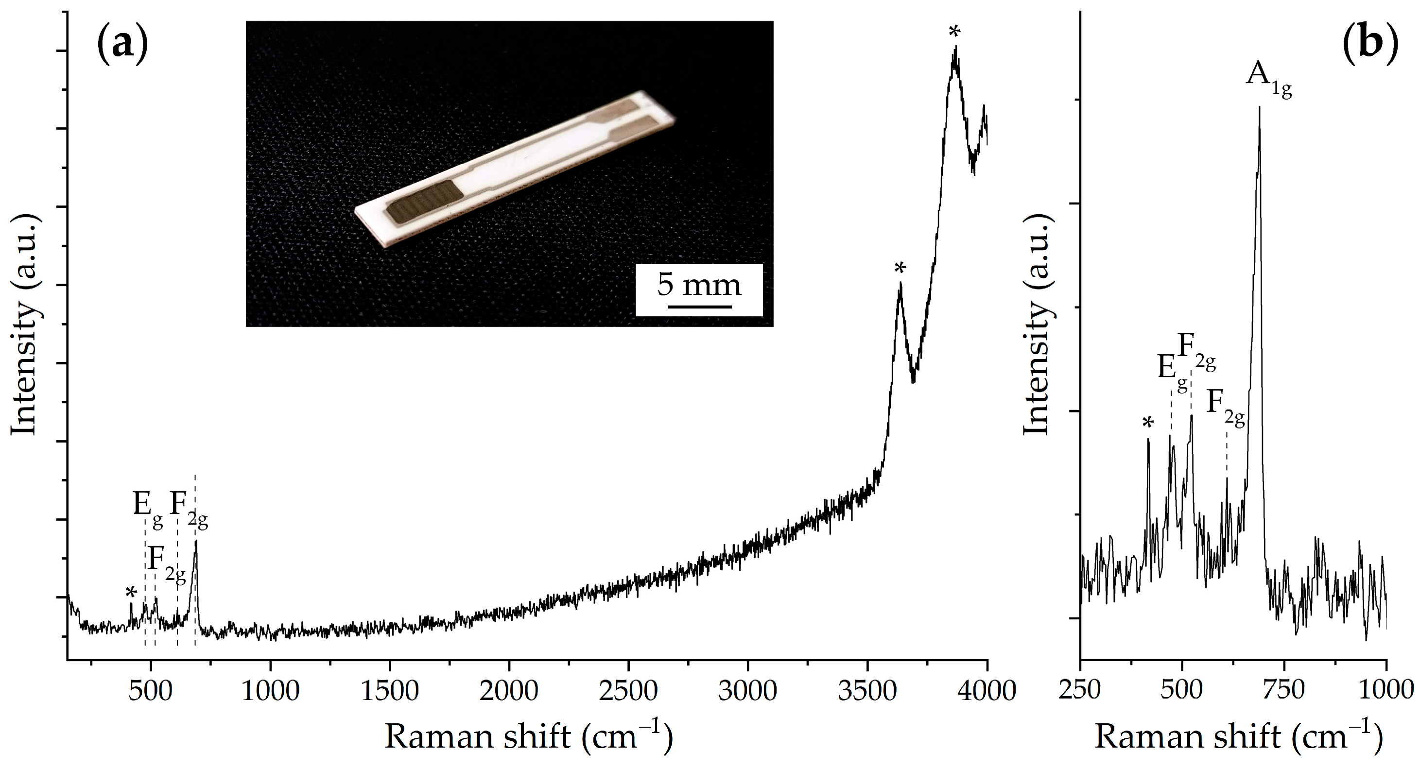 Chemosensors 11 00166 g005