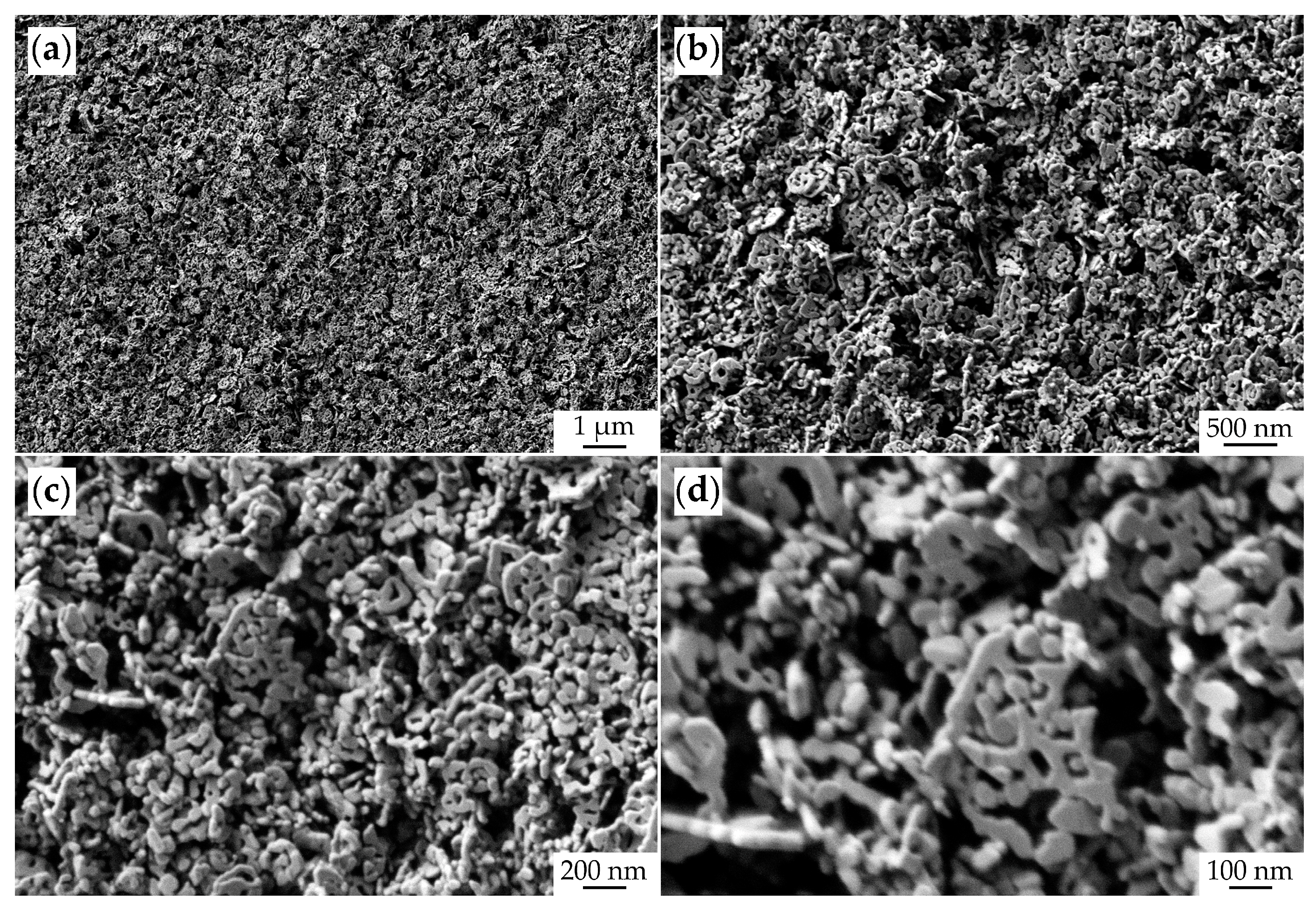 Chemosensors 11 00166 g007