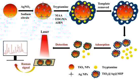Chemosensors 11 00168 g005