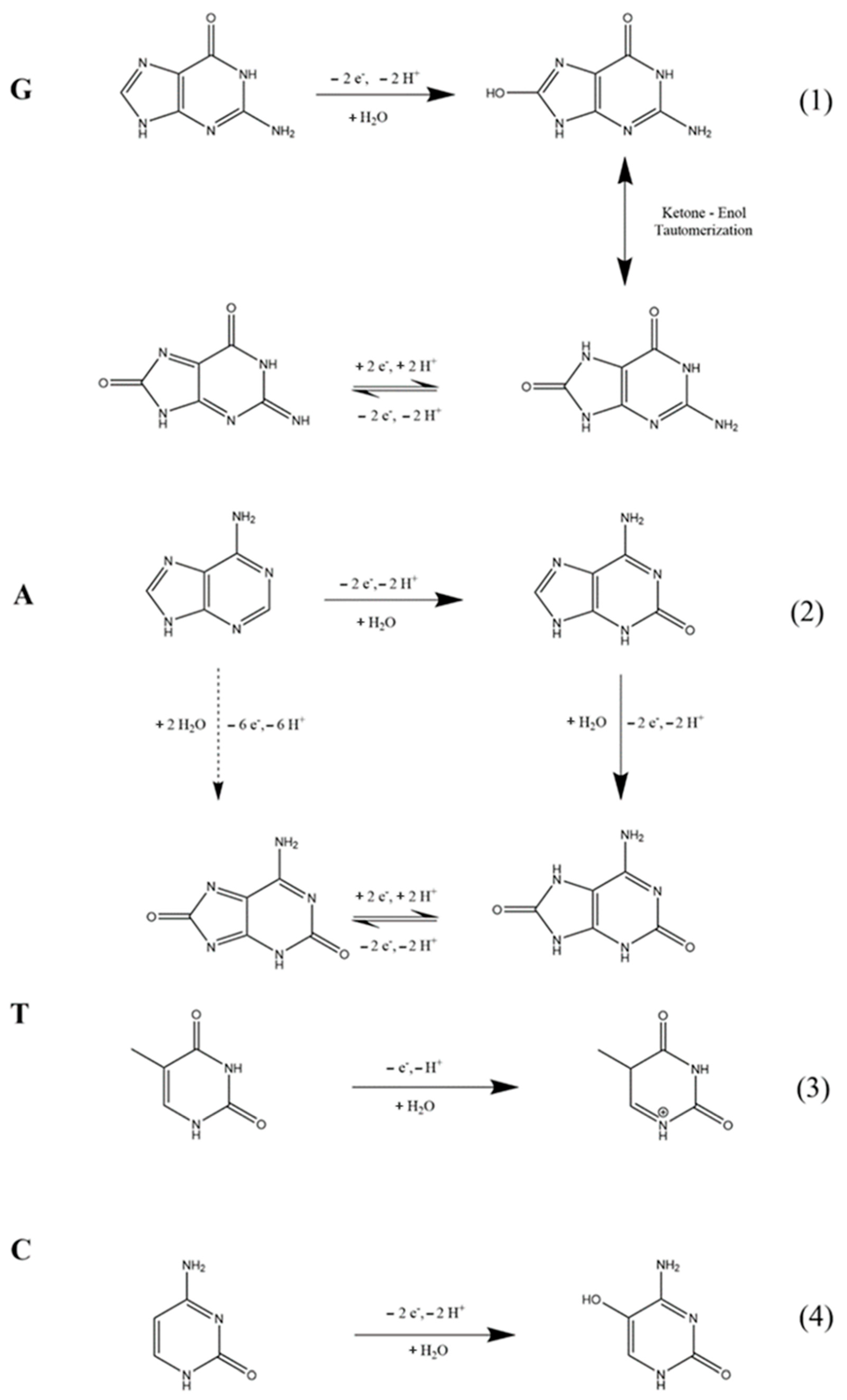 Chemosensors 11 00169 sch001