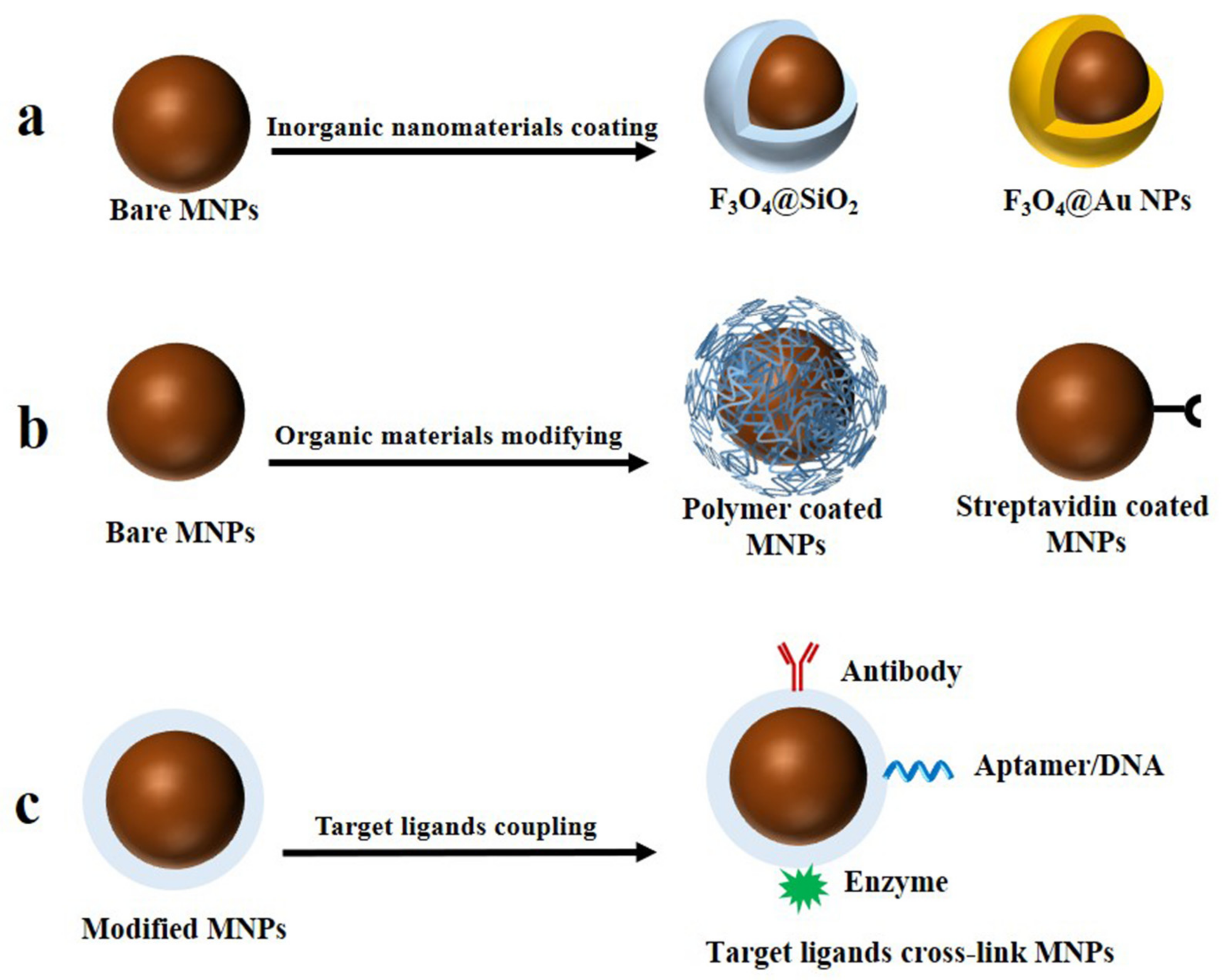 Chemosensors 11 00173 g003 Chemosensors 11 00173 g003