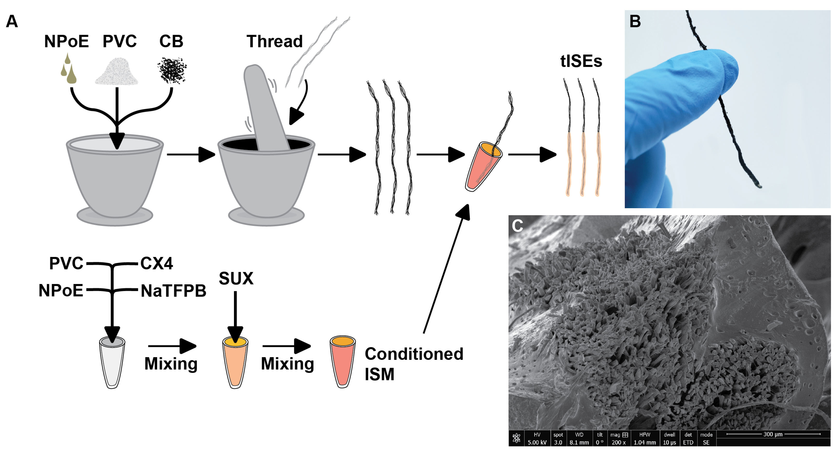 Chemosensors 11 00175 g002