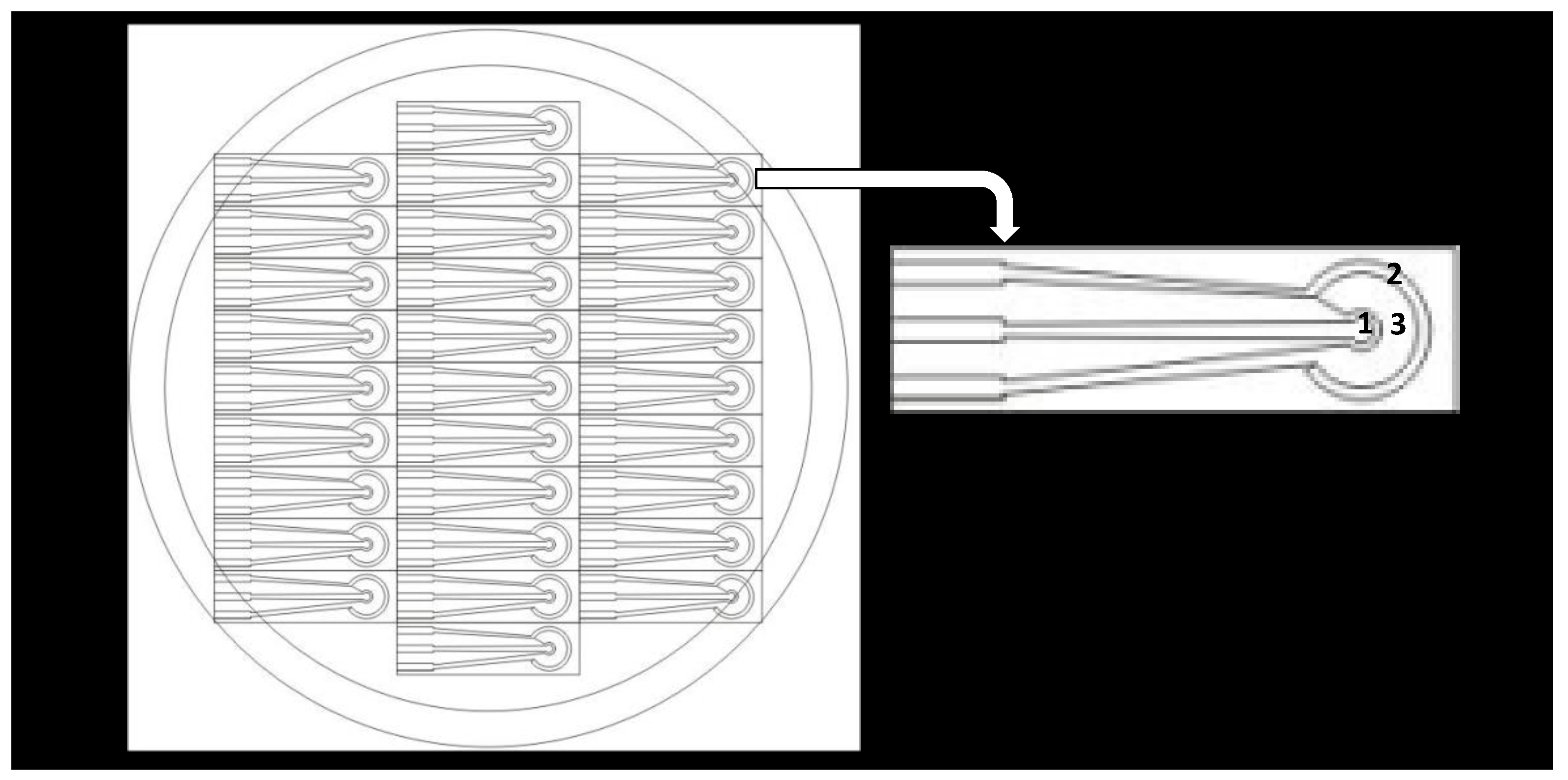 Chemosensors 11 00176 g002