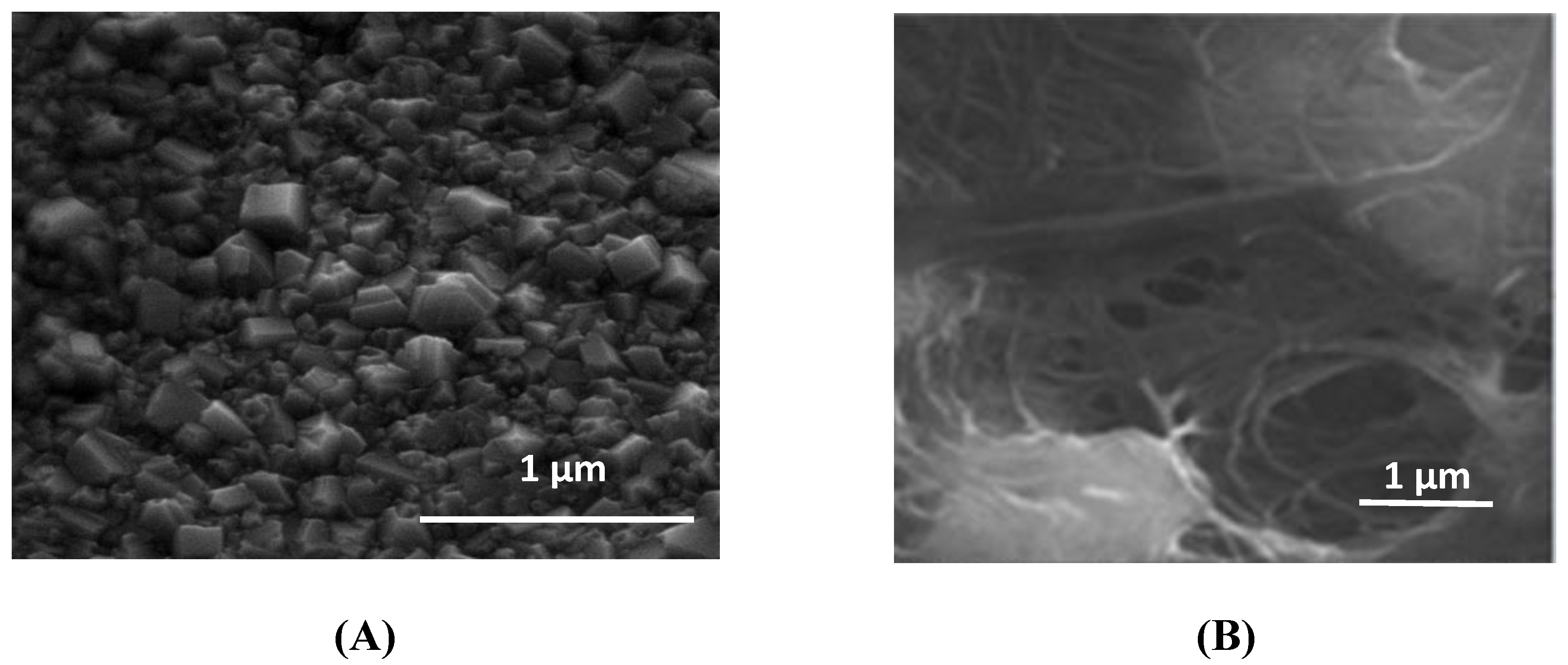 Chemosensors 11 00176 g005