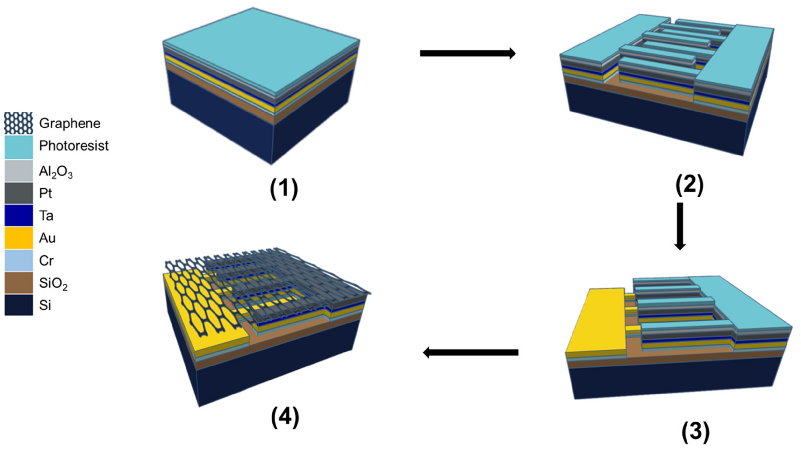 Chemosensors 11 00181 g001