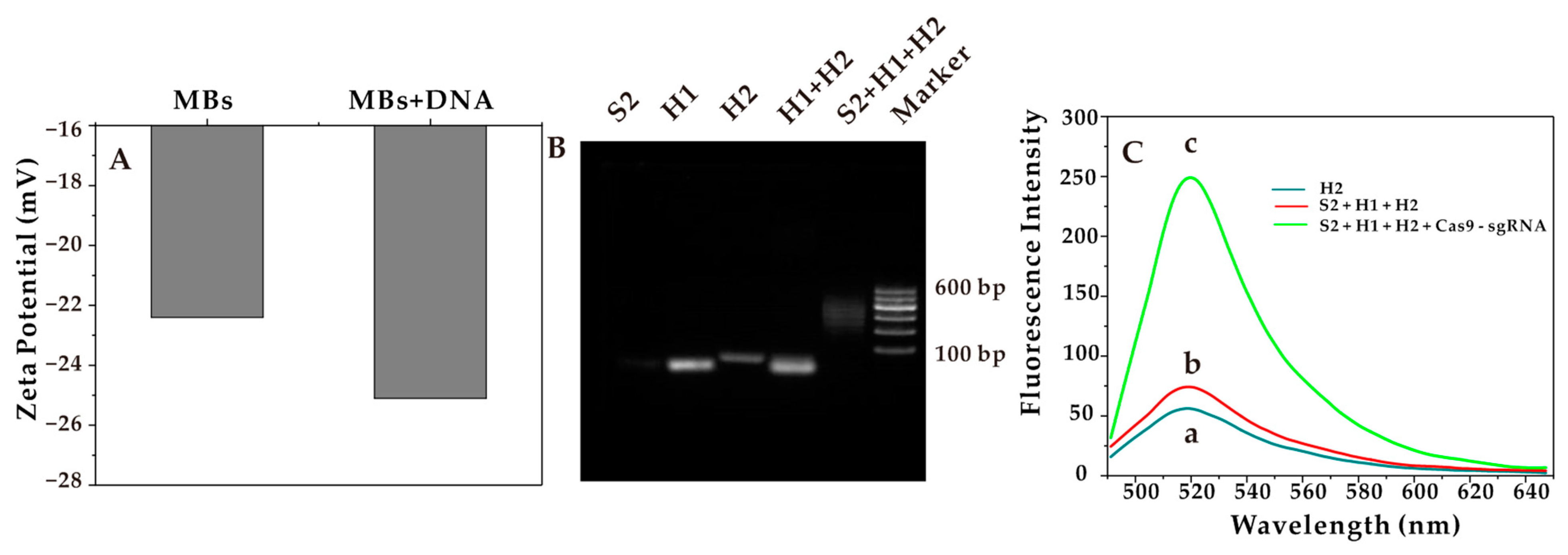 Chemosensors 11 00183 g001