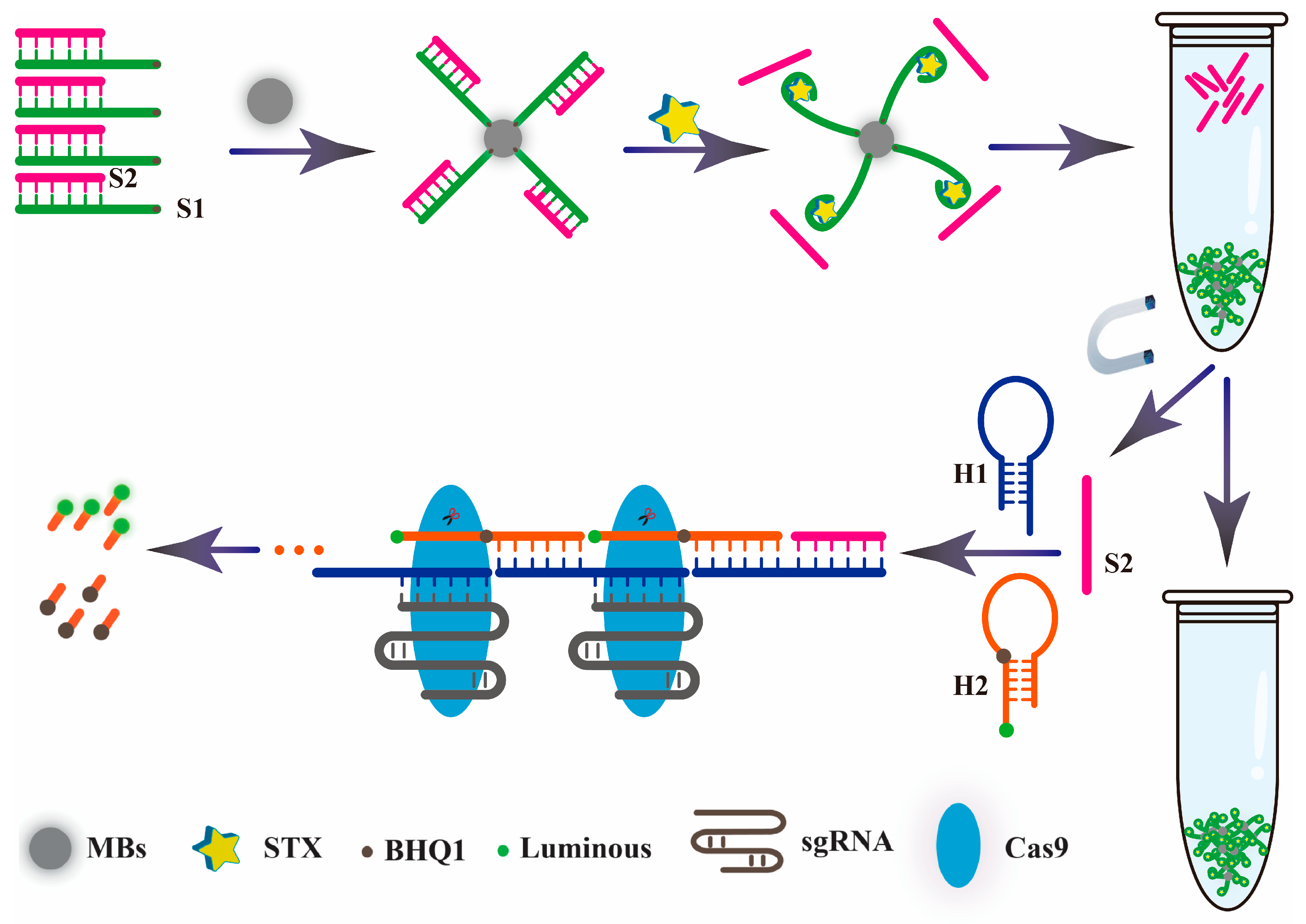 Chemosensors 11 00183 sch001