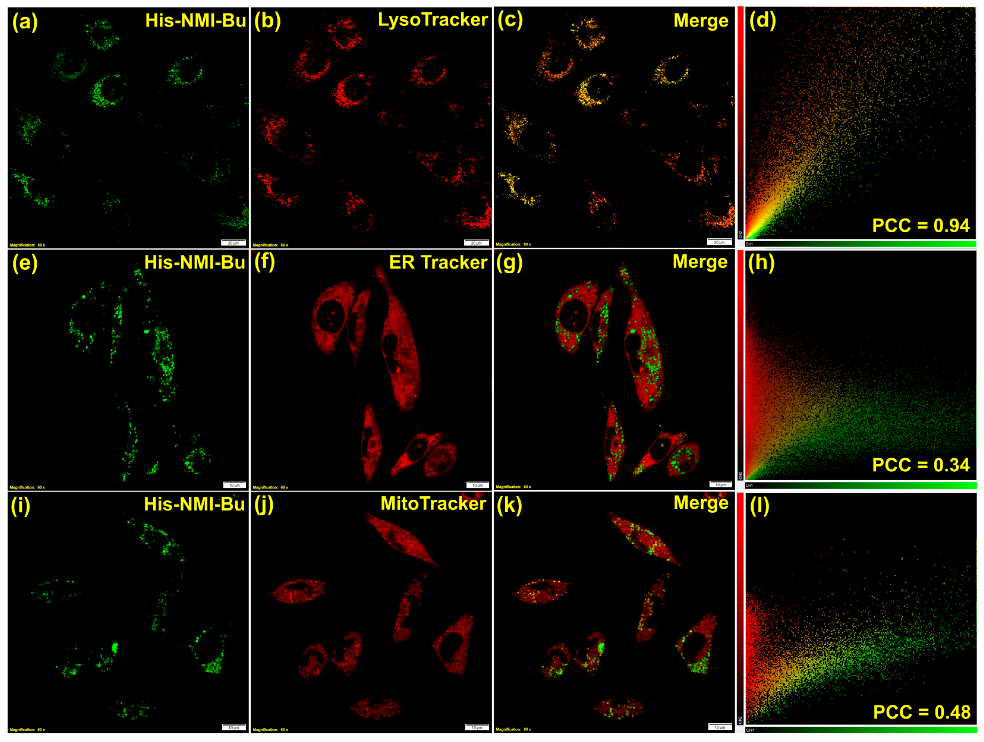 Chemosensors 11 00184 g006 Chemosensors 11 00184 g006