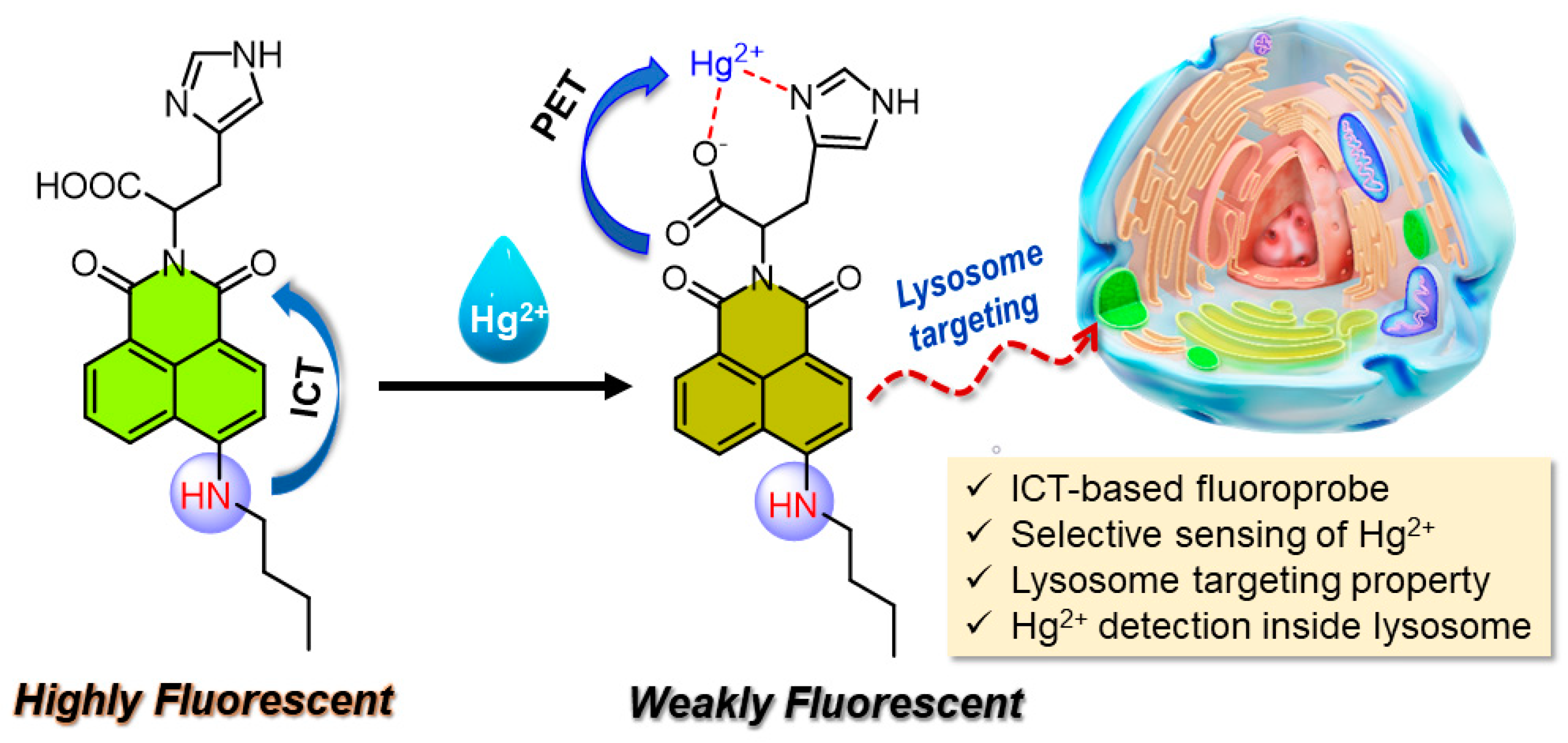 Chemosensors 11 00184 sch001 Chemosensors 11 00184 sch001