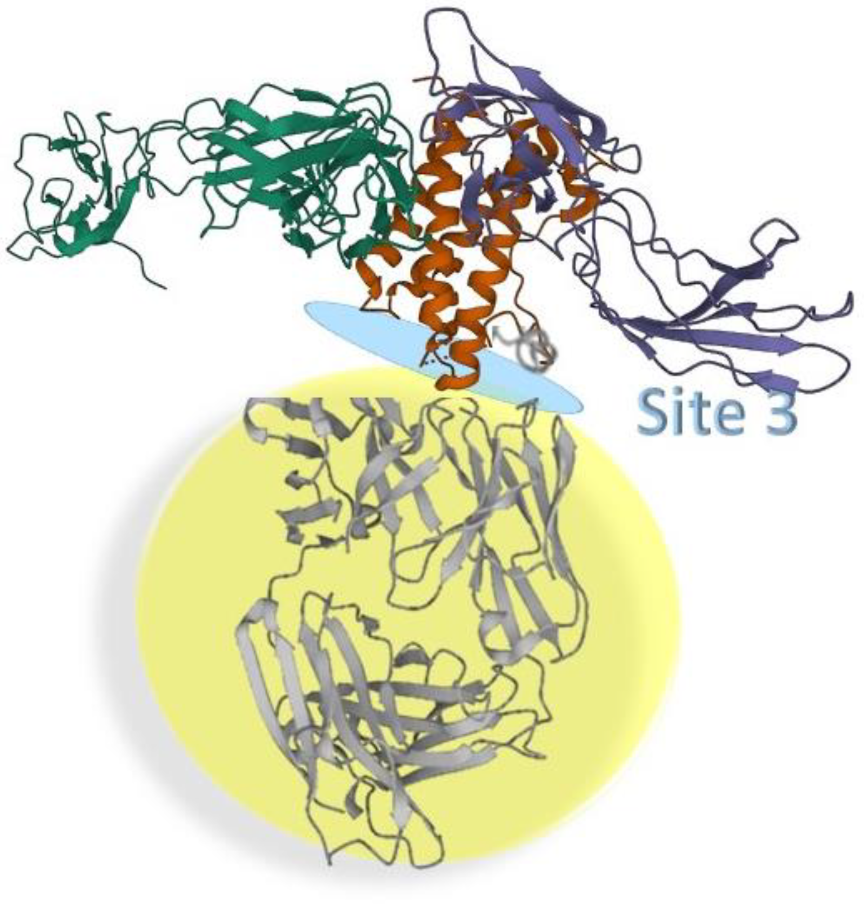 Chemosensors 11 00195 g004 Chemosensors 11 00195 g004