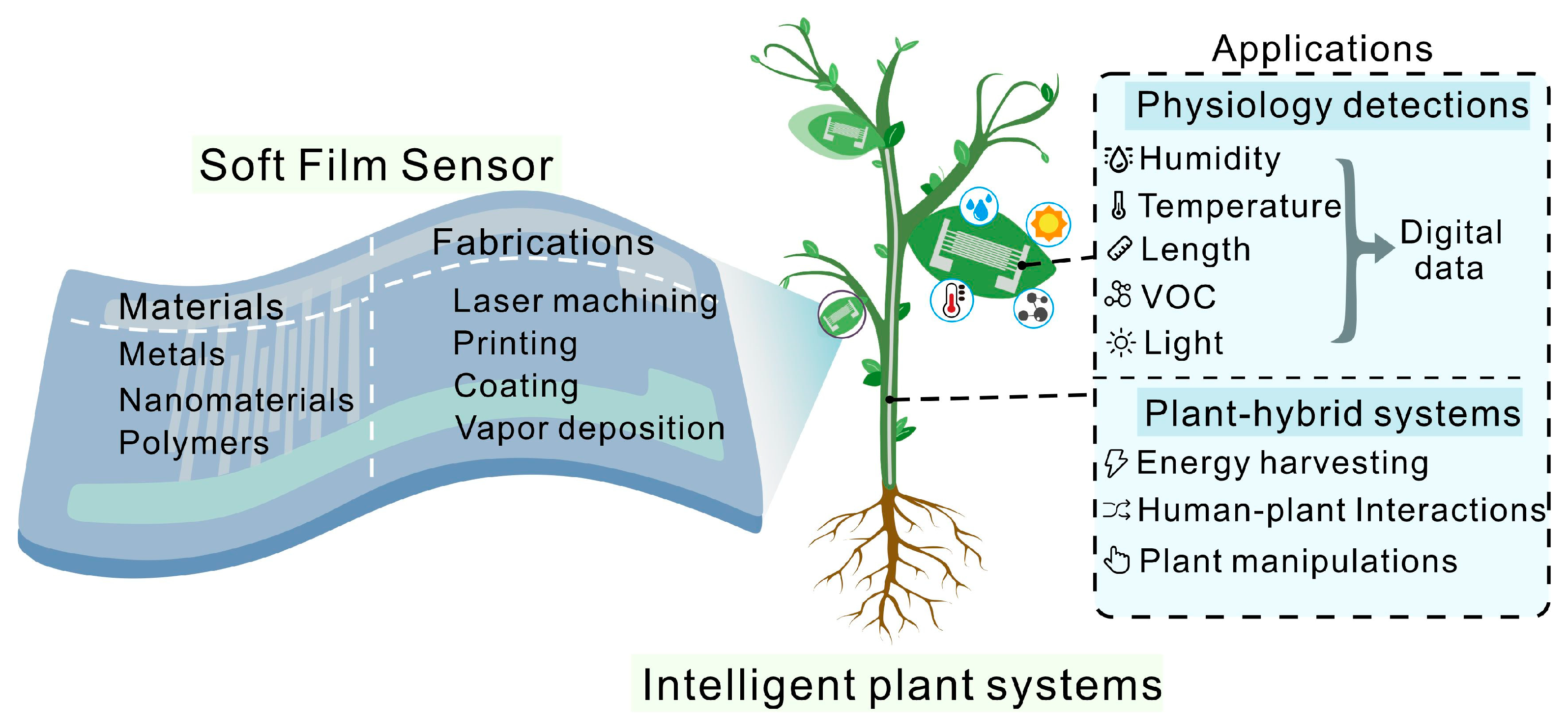 Chemosensors 11 00197 g001