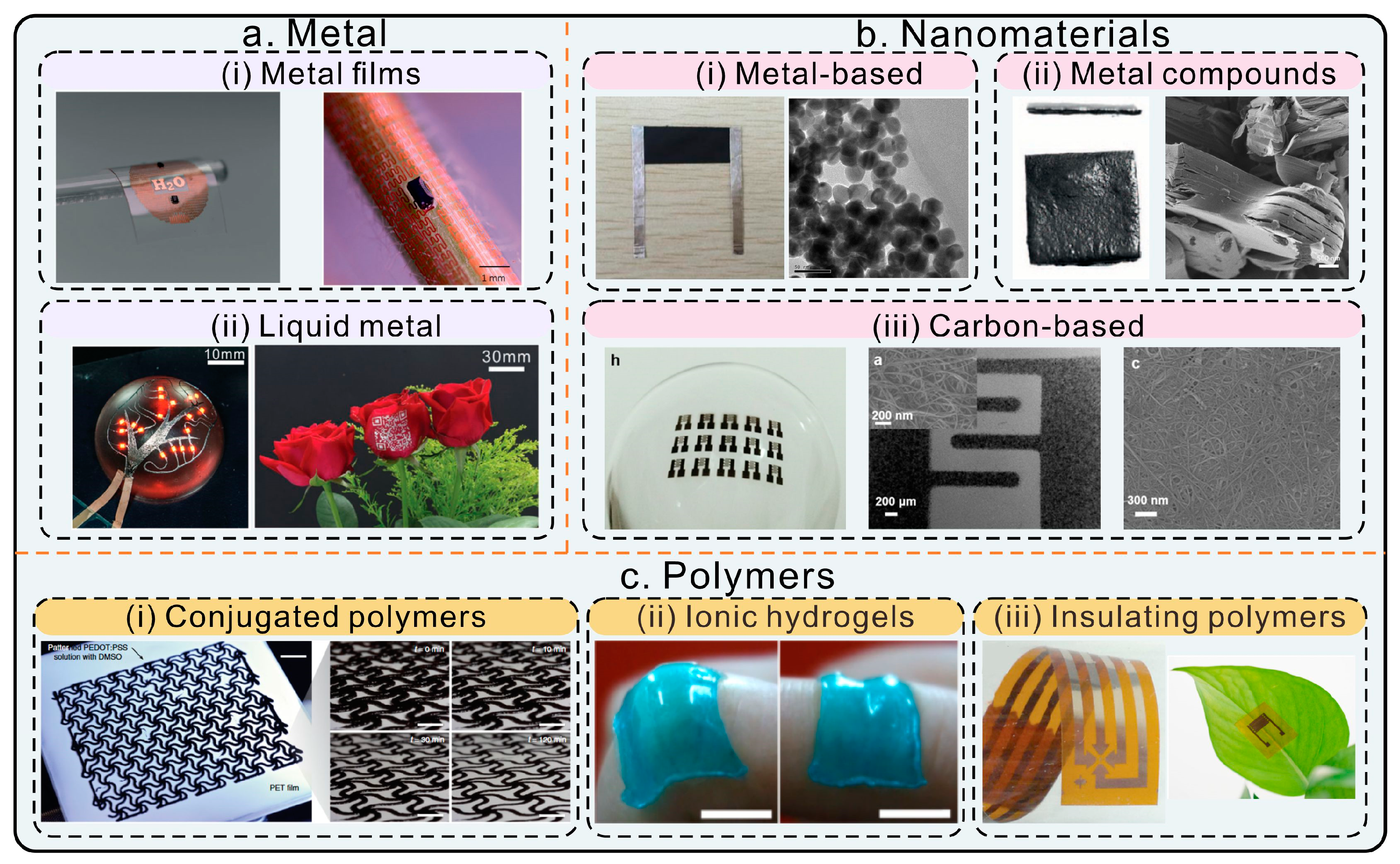 Chemosensors 11 00197 g002