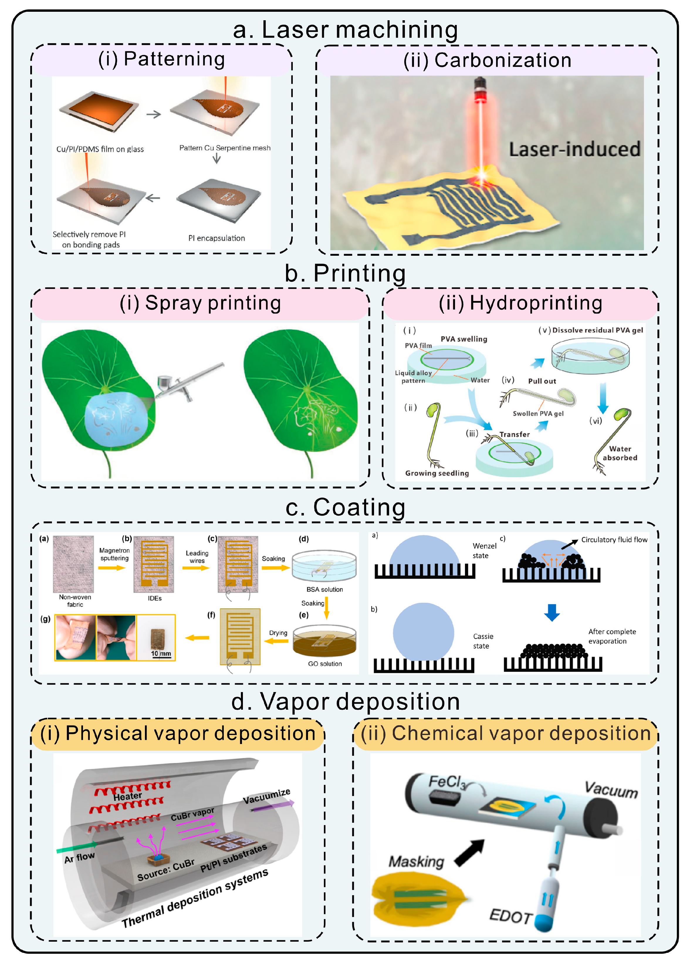Chemosensors 11 00197 g003