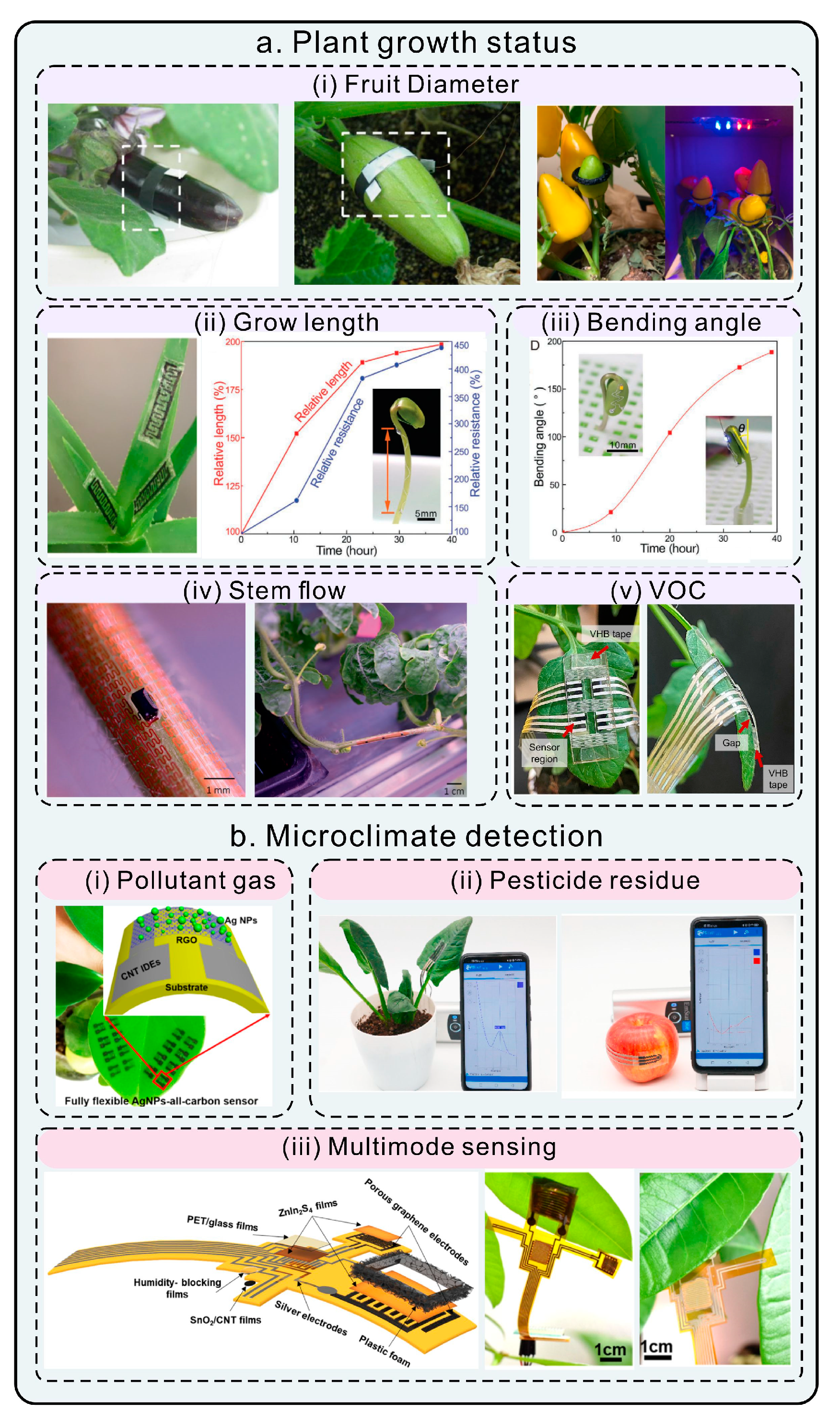 Chemosensors 11 00197 g004