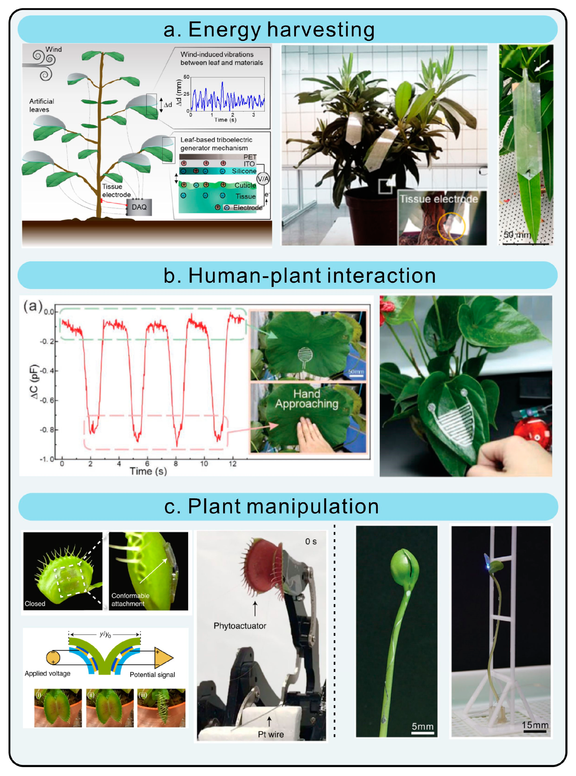 Chemosensors 11 00197 g005