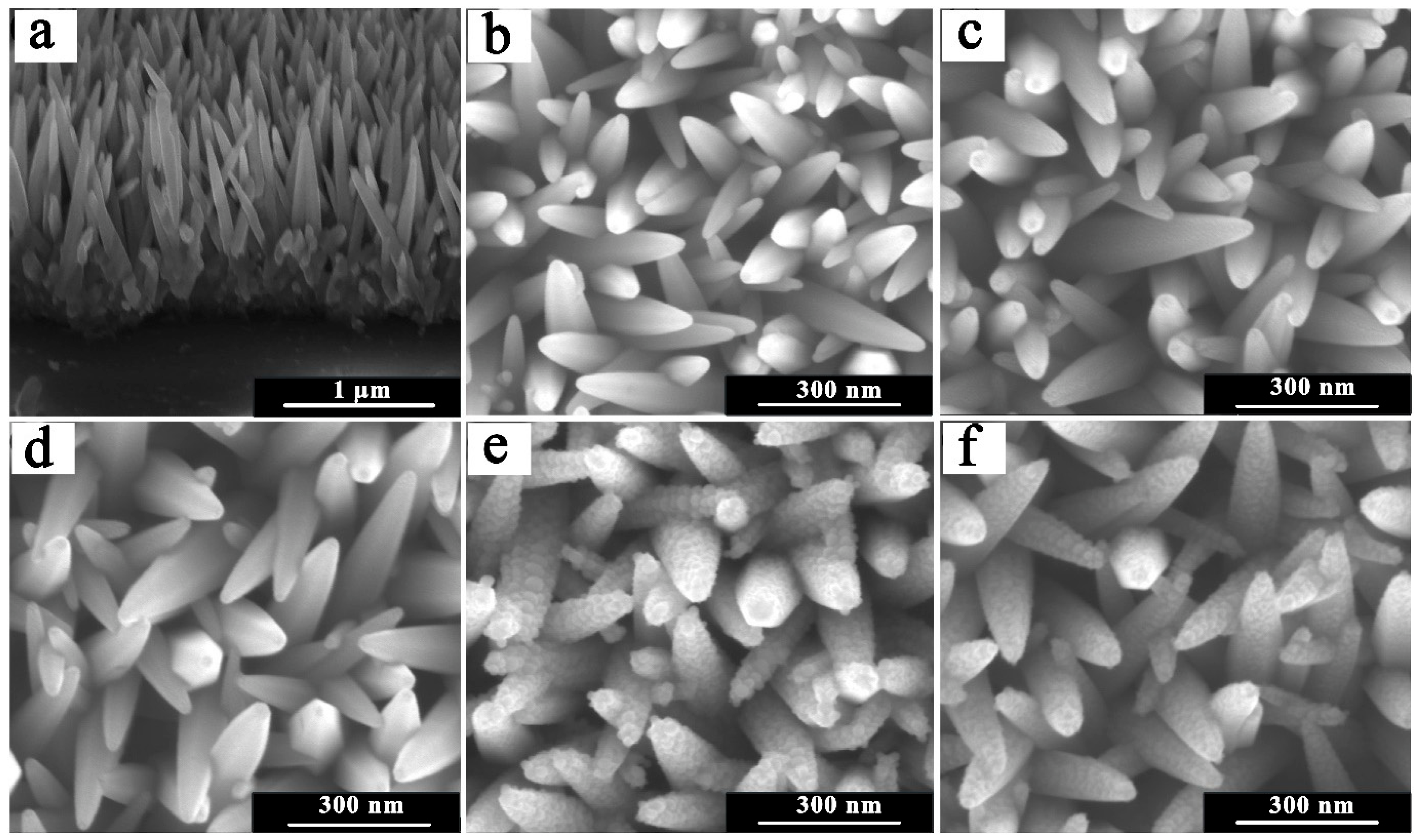 Chemosensors 11 00200 g002