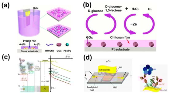 Chemosensors 11 00202 g001