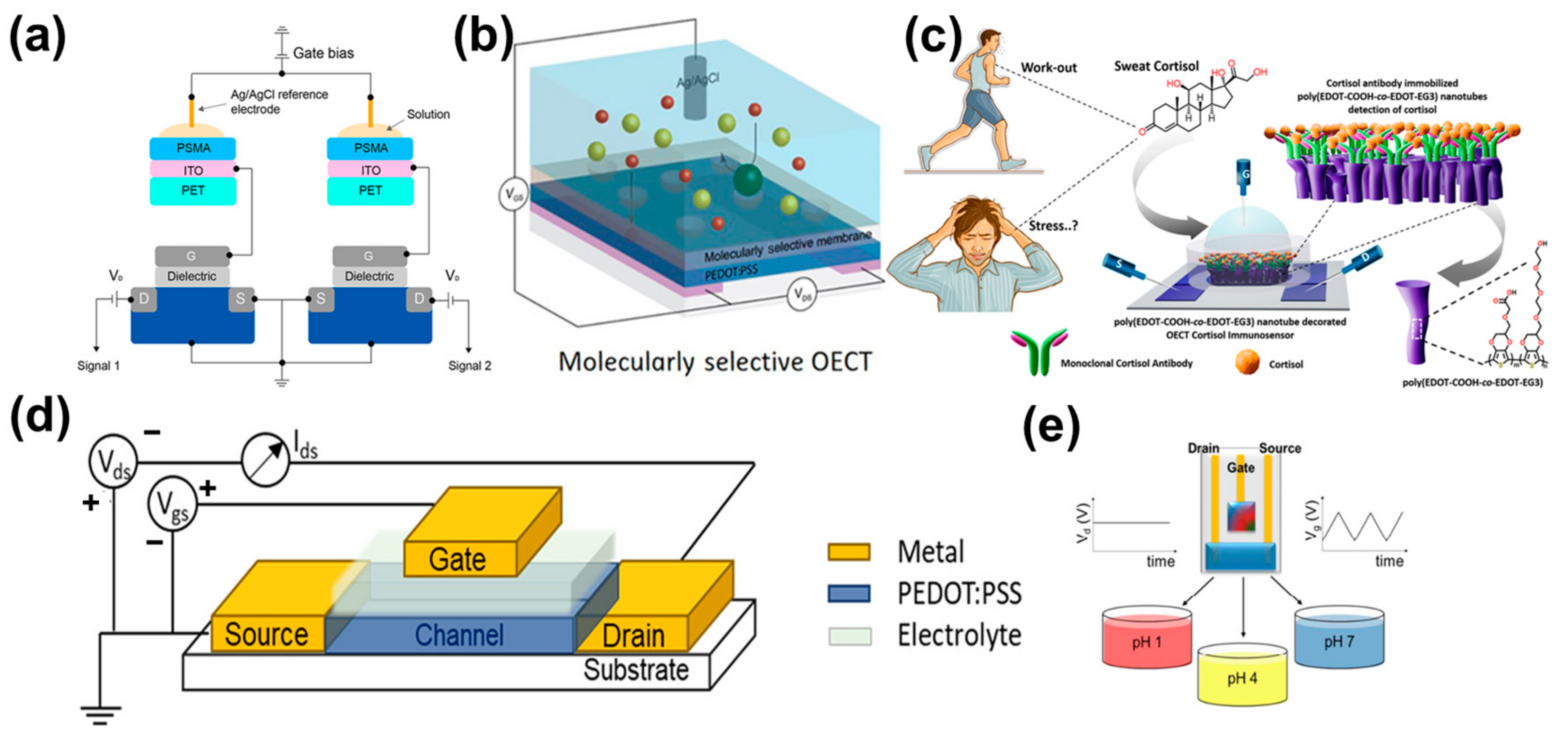 Chemosensors 11 00202 g004