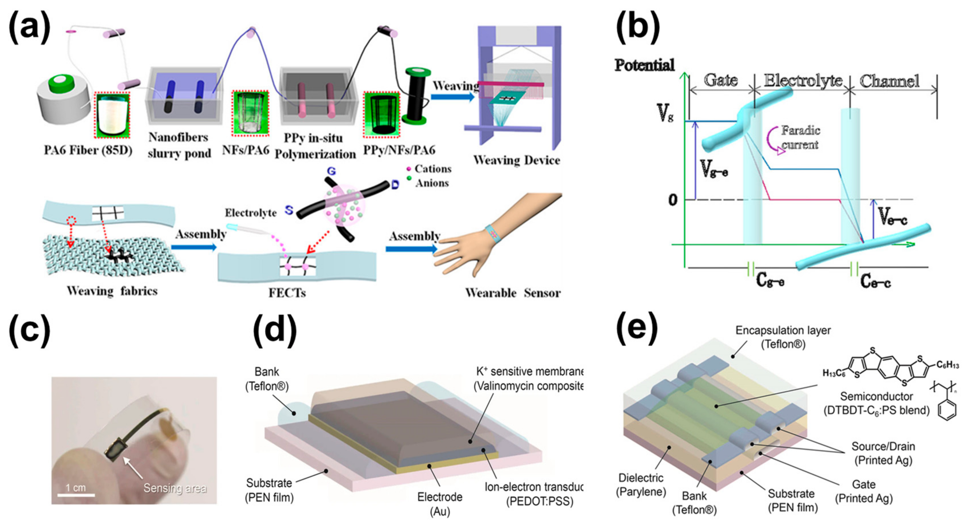 Chemosensors 11 00202 g006