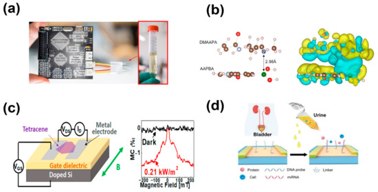 Chemosensors 11 00202 g008
