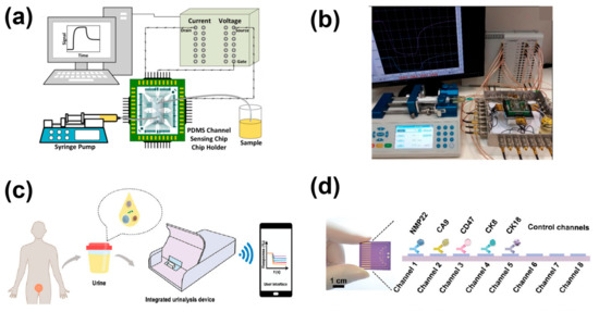 Chemosensors 11 00202 g009