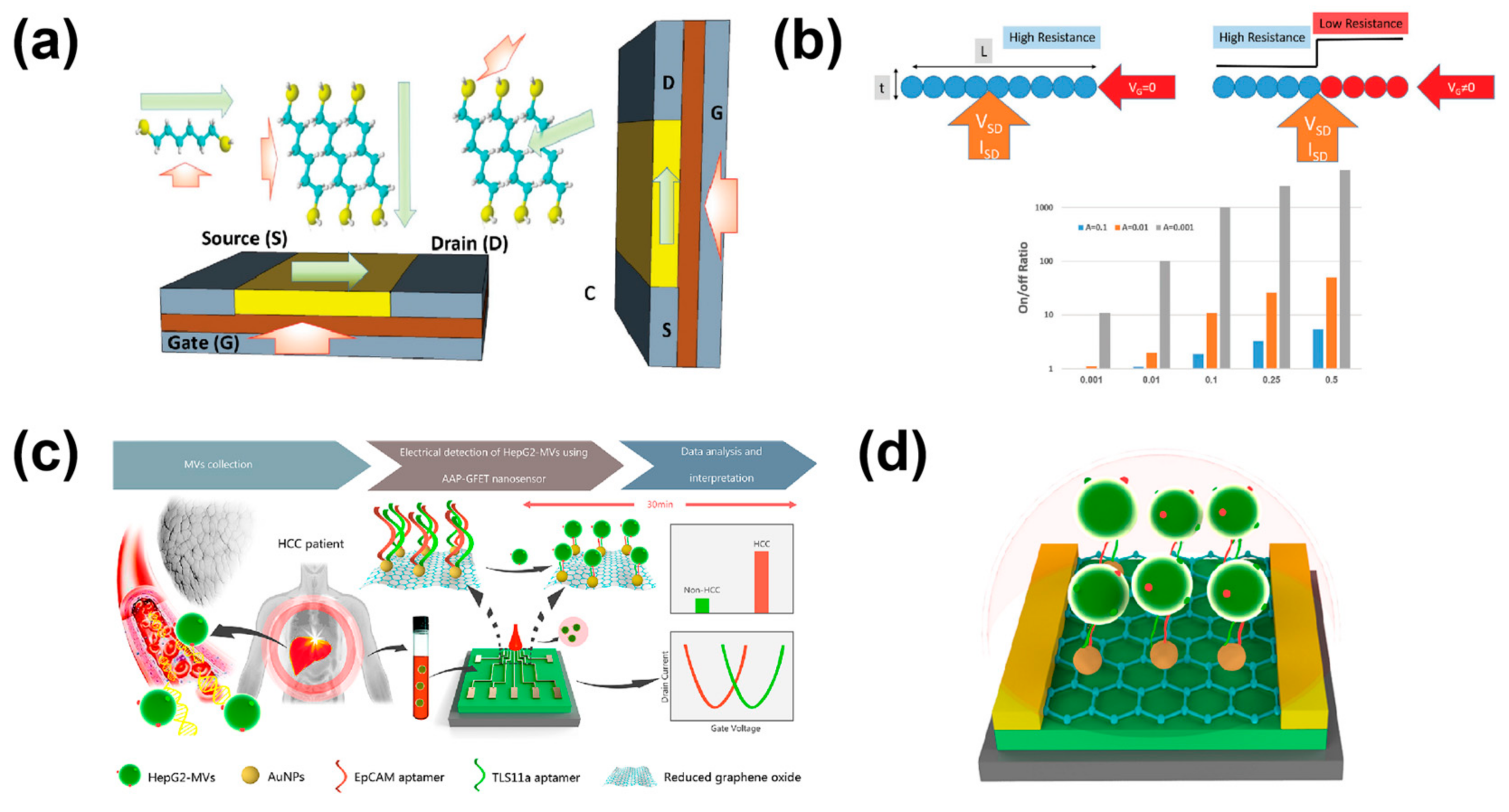 Chemosensors 11 00202 g010