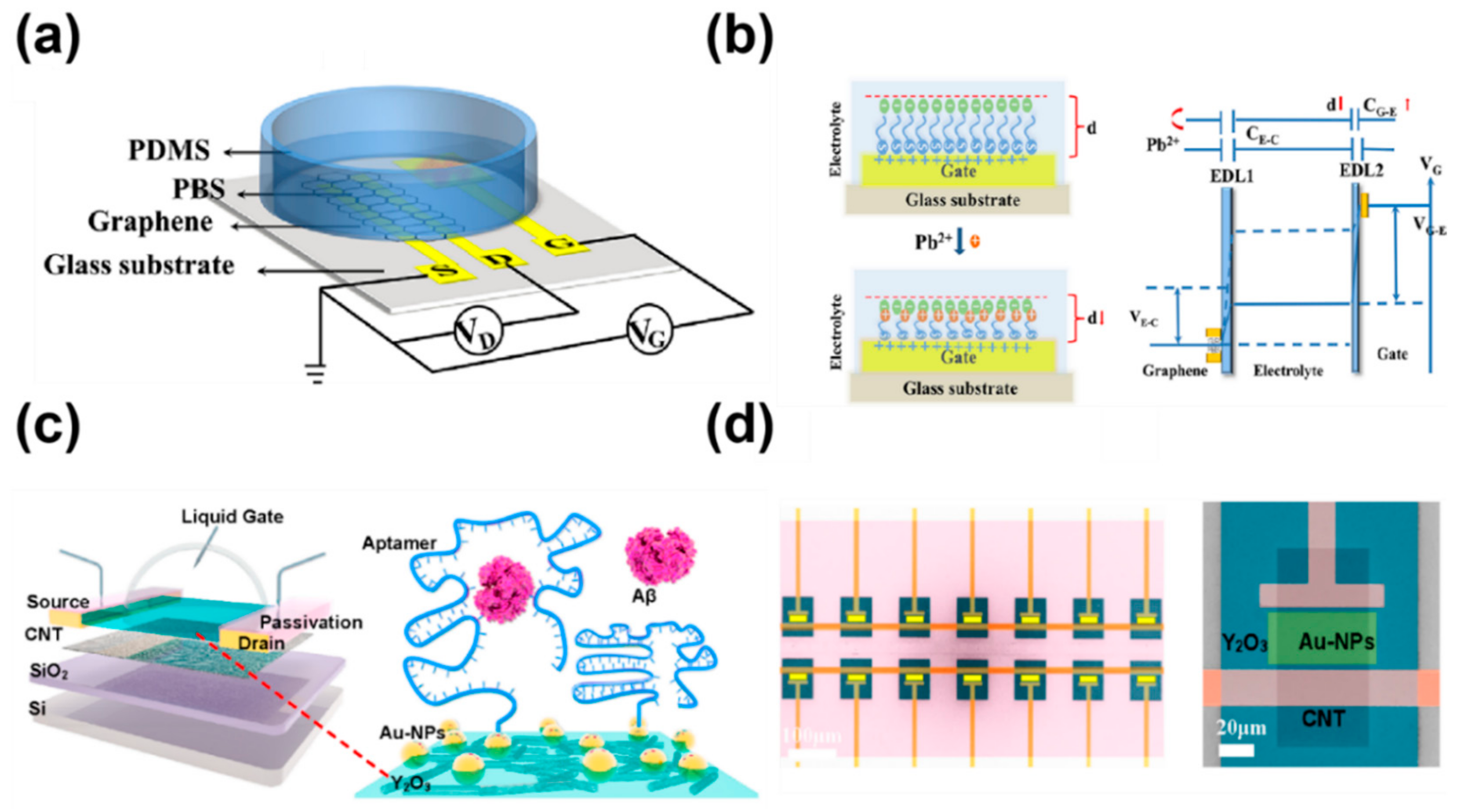 Chemosensors 11 00202 g012