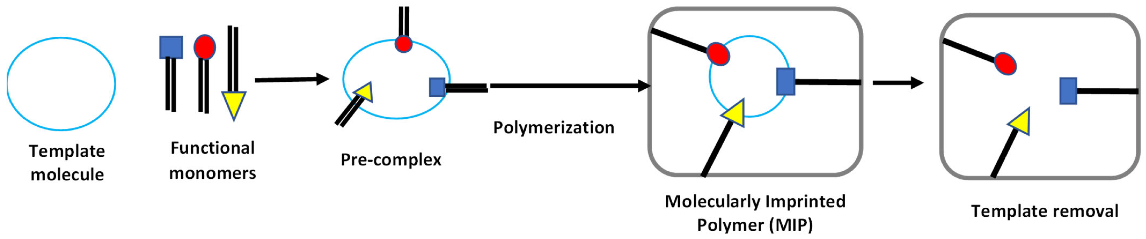 Chemosensors 11 00203 g002