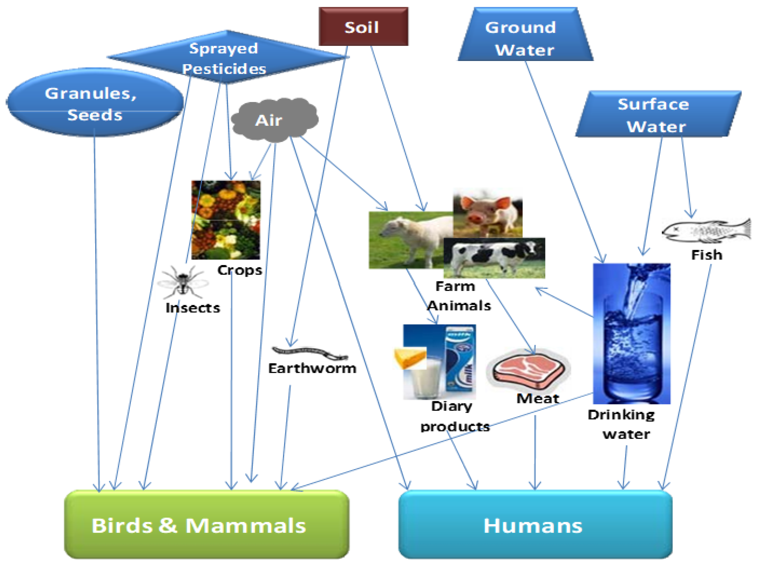 Chemosensors 11 00203 g004