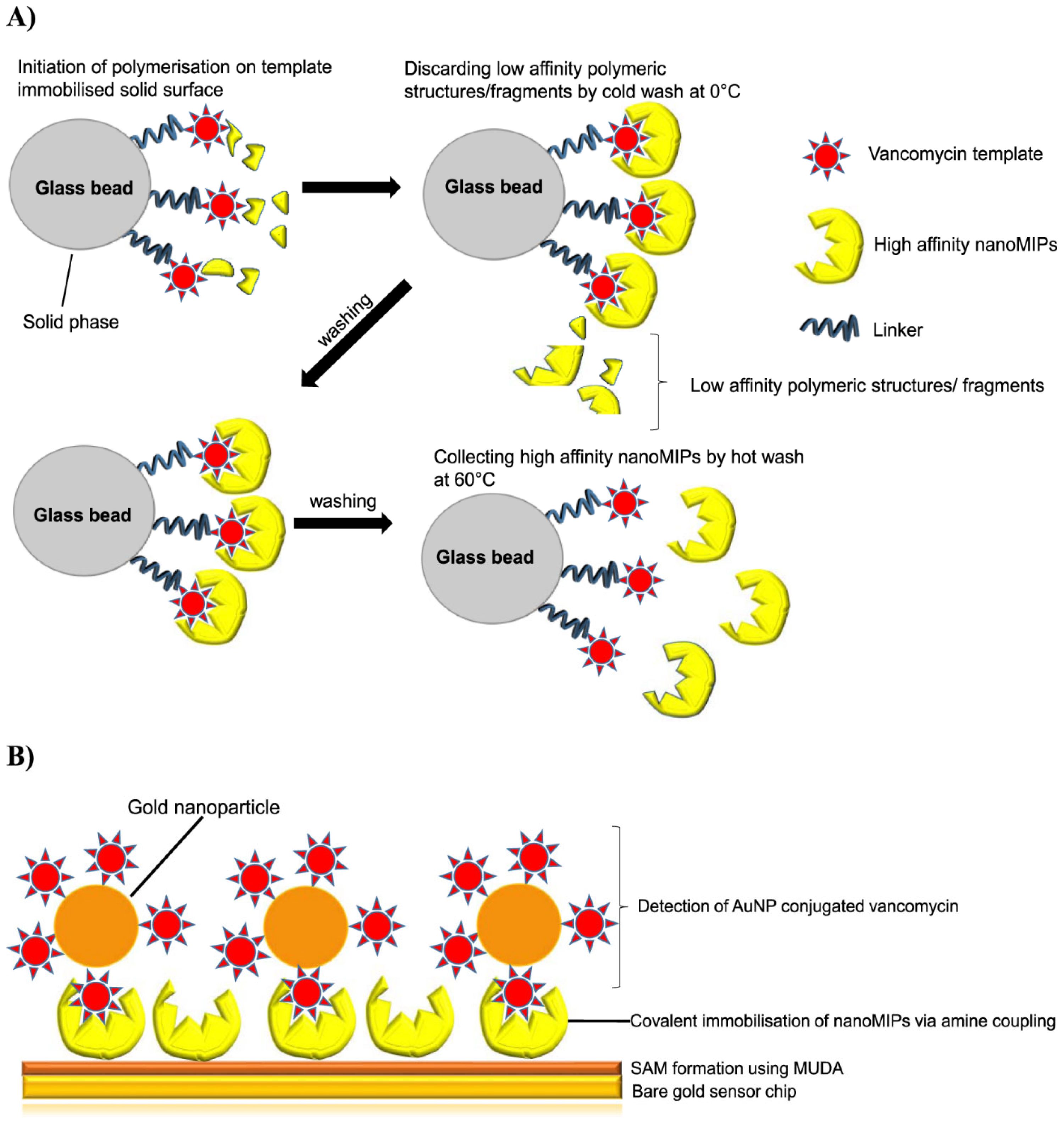 Chemosensors 11 00203 g007