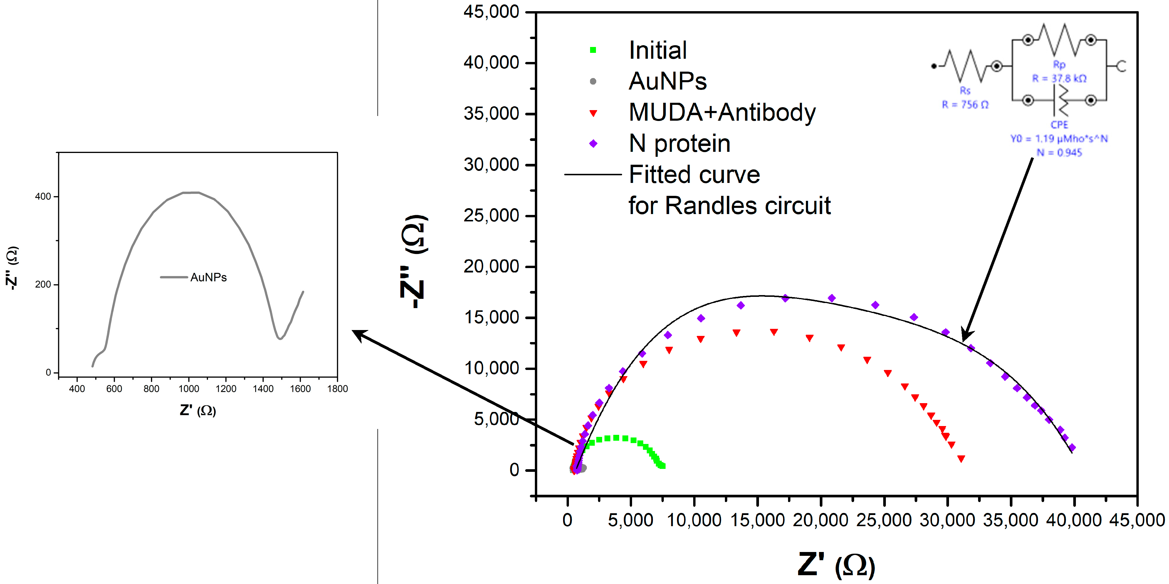 Chemosensors 11 00204 g006