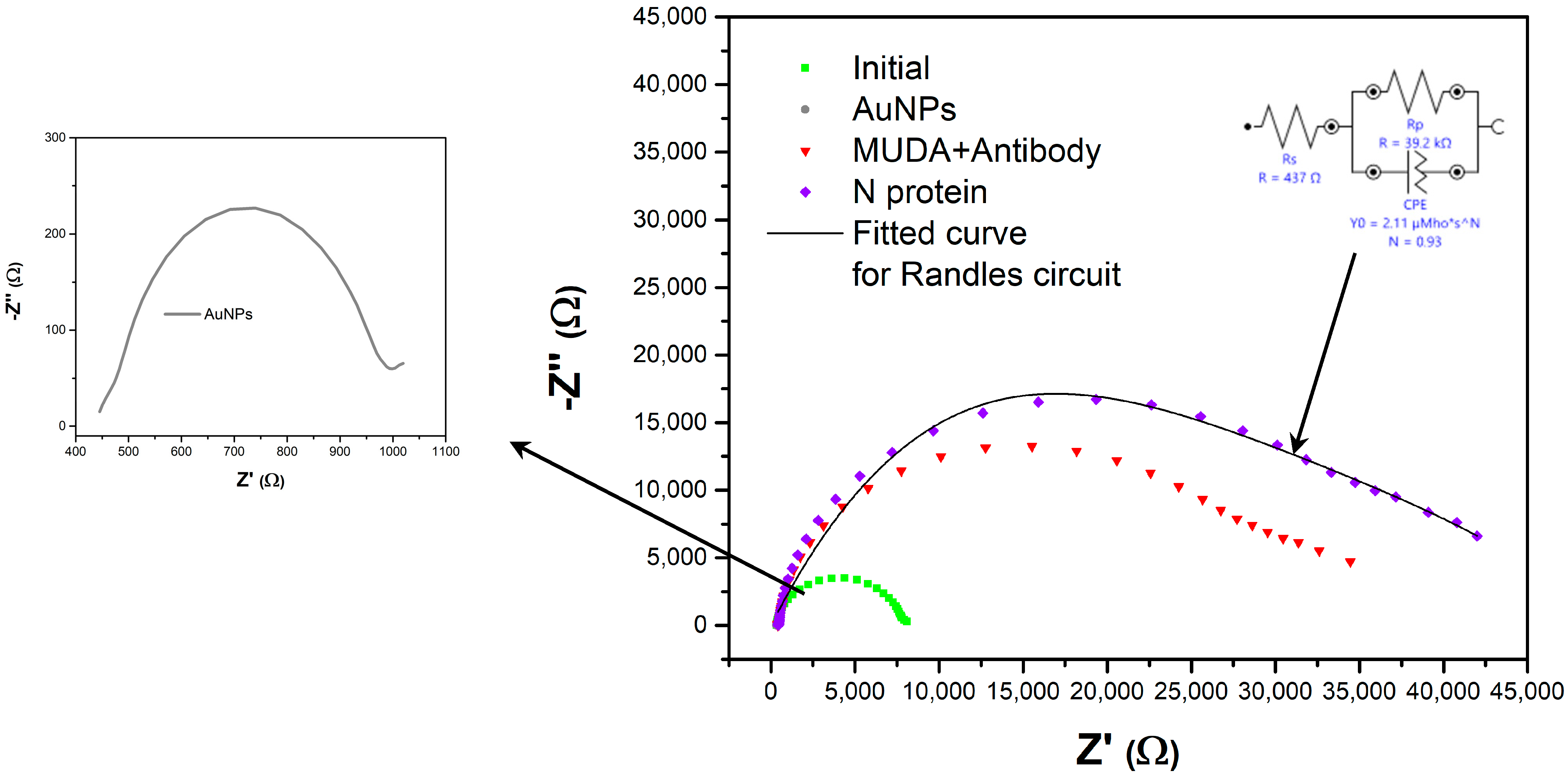 Chemosensors 11 00204 g007